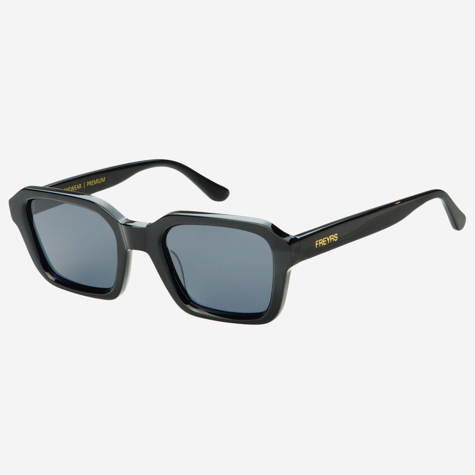 Hudson Unisex Acetate Rectangular Sunglasses in Black