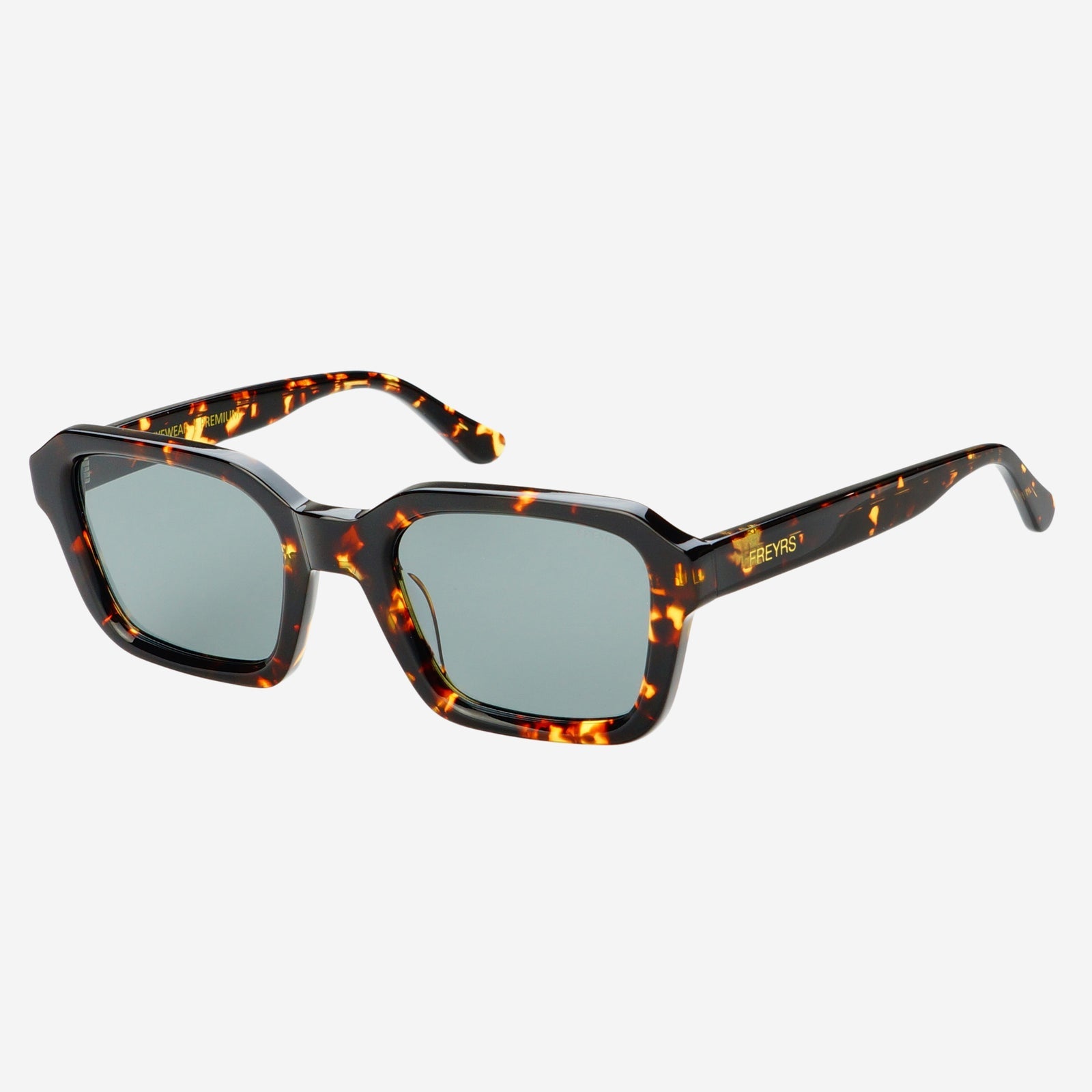 Hudson Unisex Acetate Rectangular Sunglasses in Tortoise