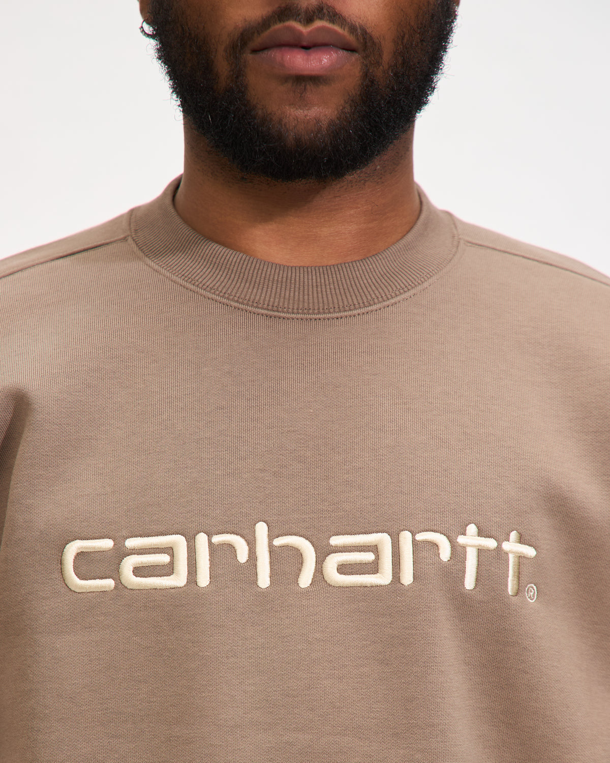 Carhartt Sweatshirt in Branch / Rattan