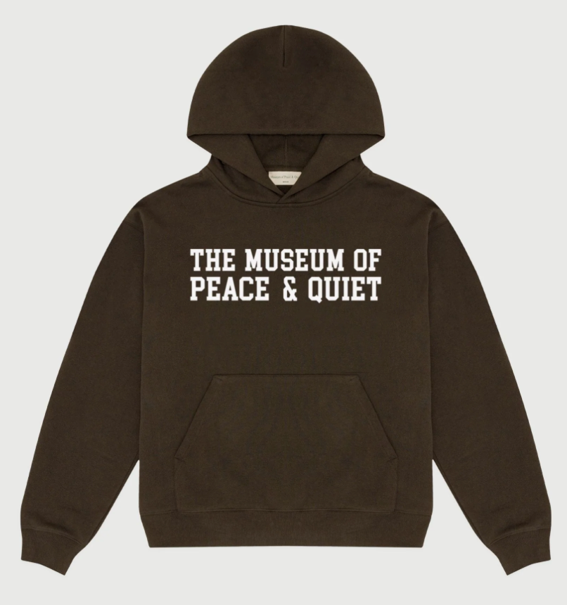 Campus Hoodie in Brown