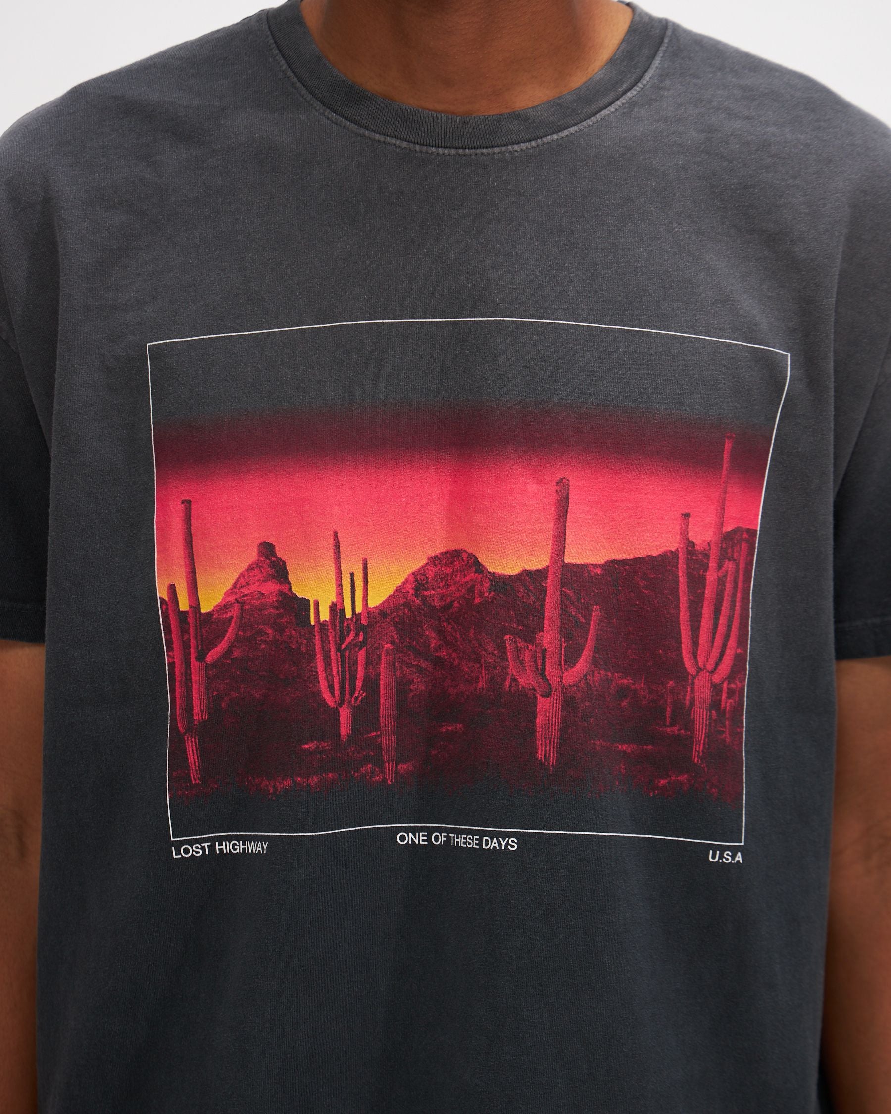 Burning Landscape Tee in Washed Black
