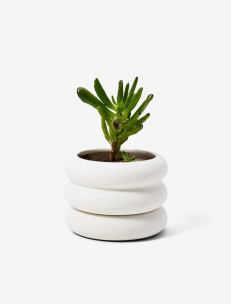 Stacking Planter - Mini Short