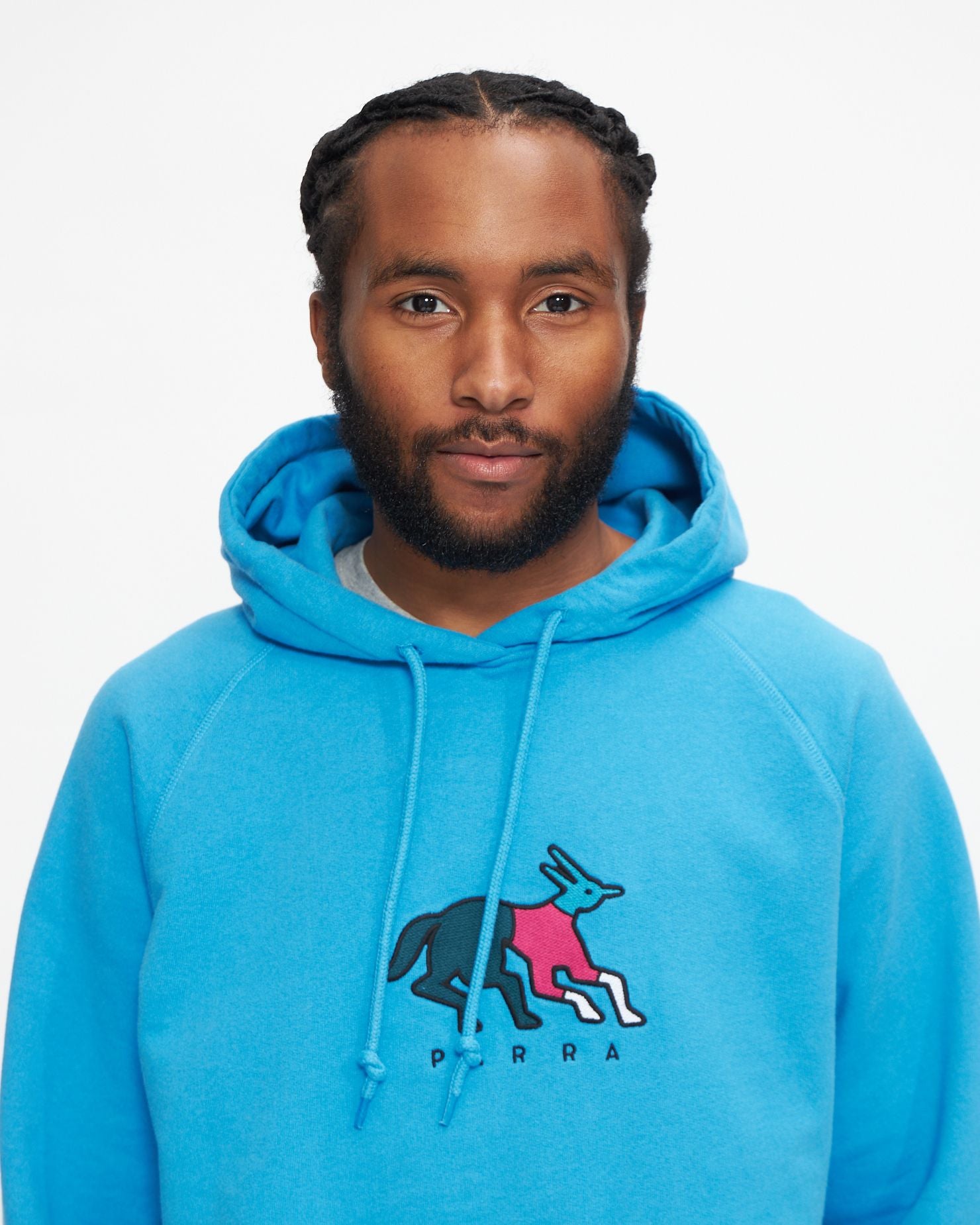 Anxious Dog Hooded Sweatshirt in Greek Blue