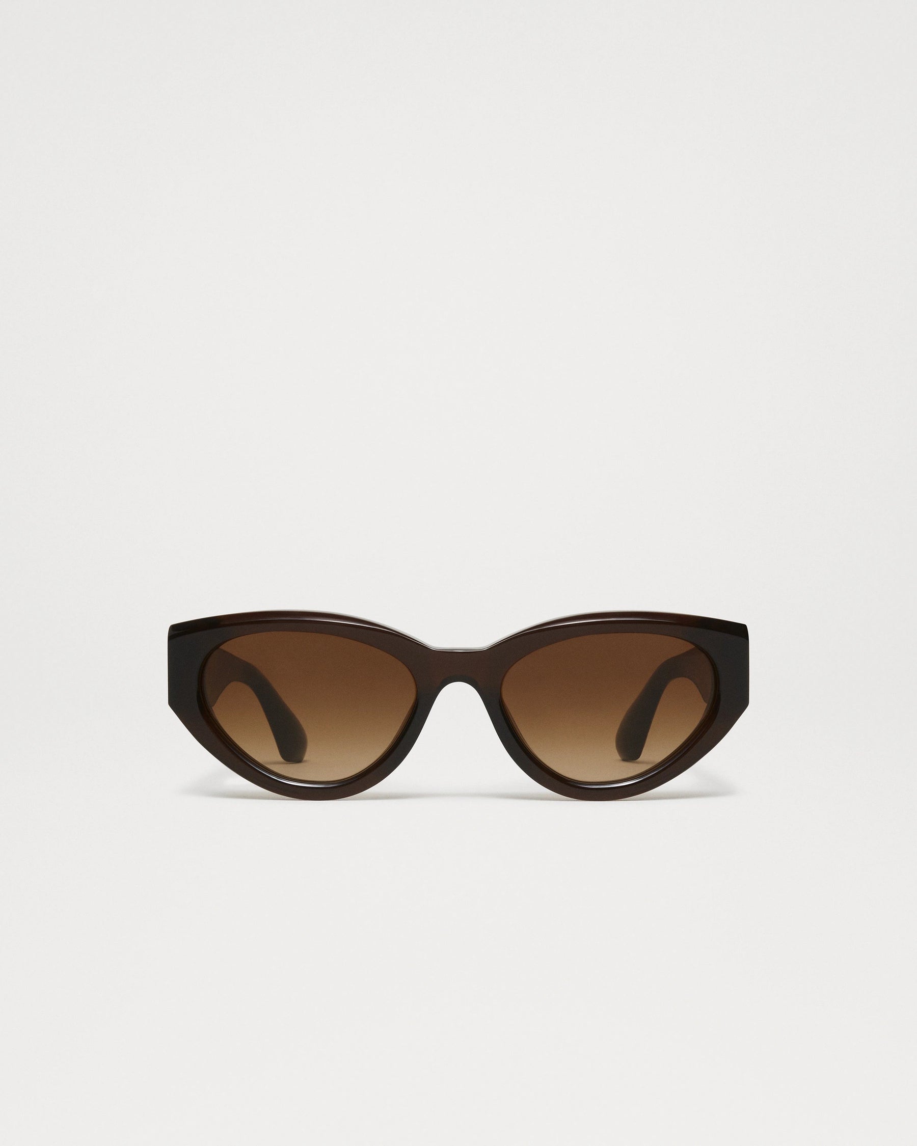 06 Sunglasses in Brown