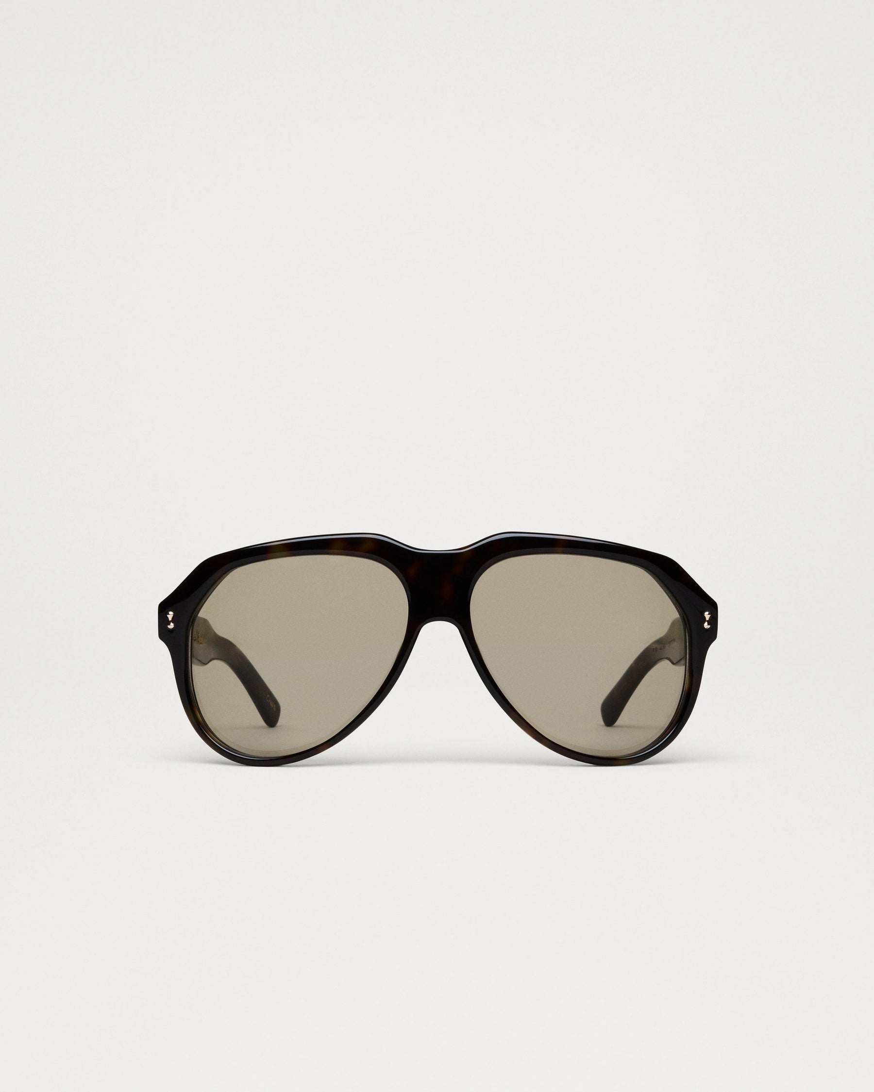 Caine Sunglasses in Dusty Tortoise