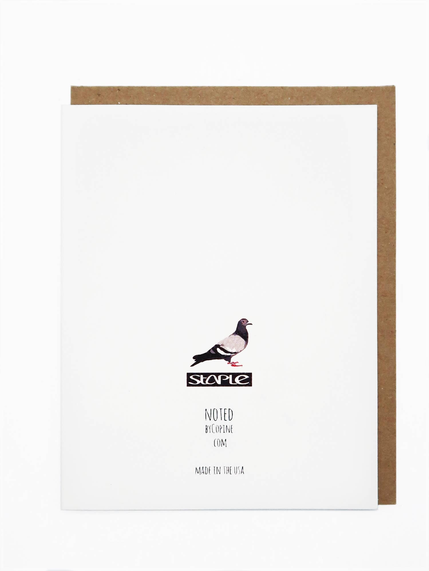 New York Pigeon Sh*t