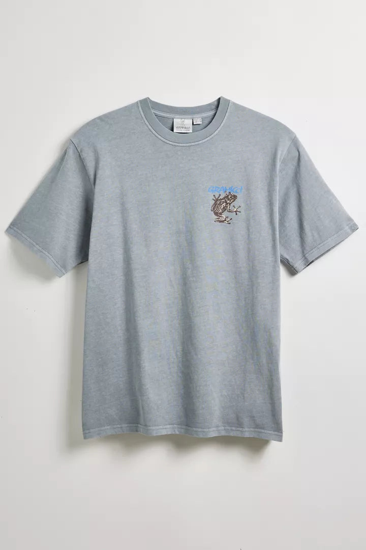 Sticky Frog Tee in Slate Pigment