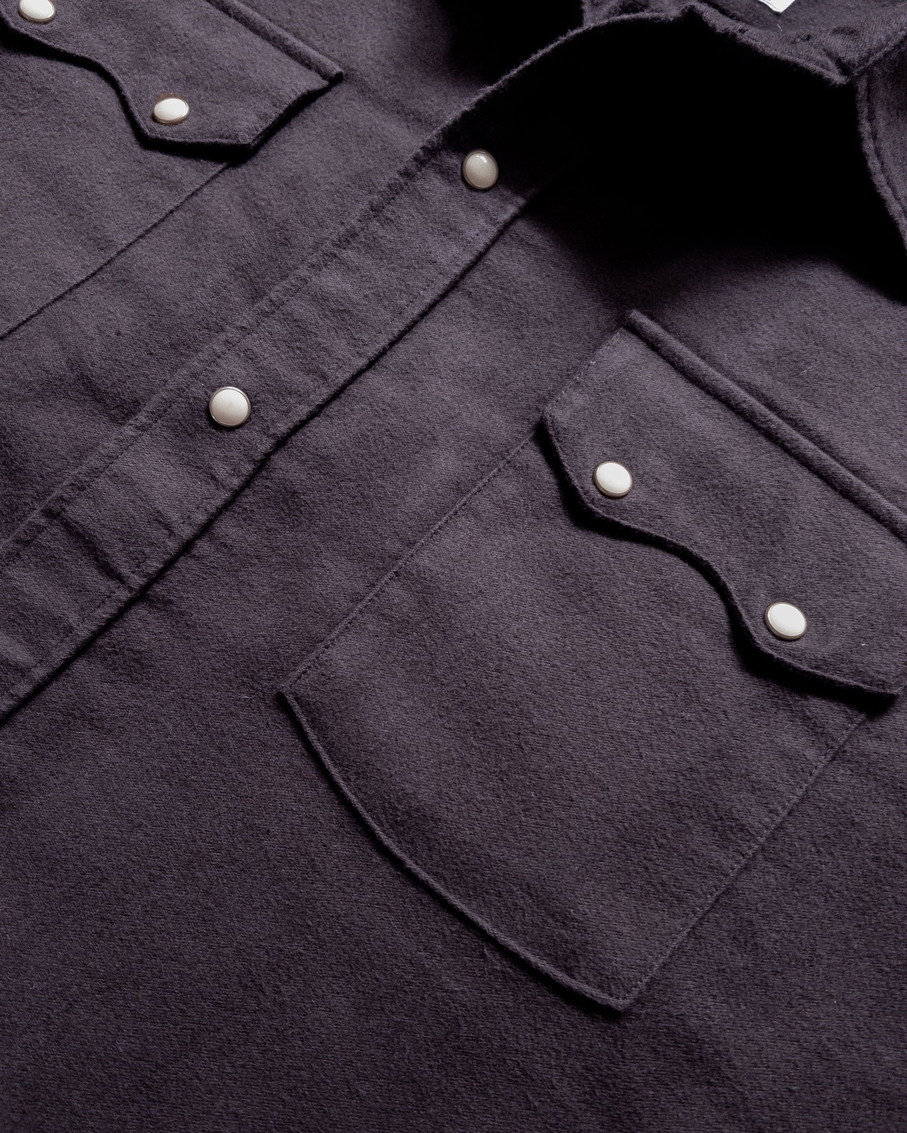 Moleskin Pearlsnap Shirt in Night Sky
