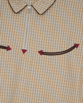 Check Western Shirt in Taupe