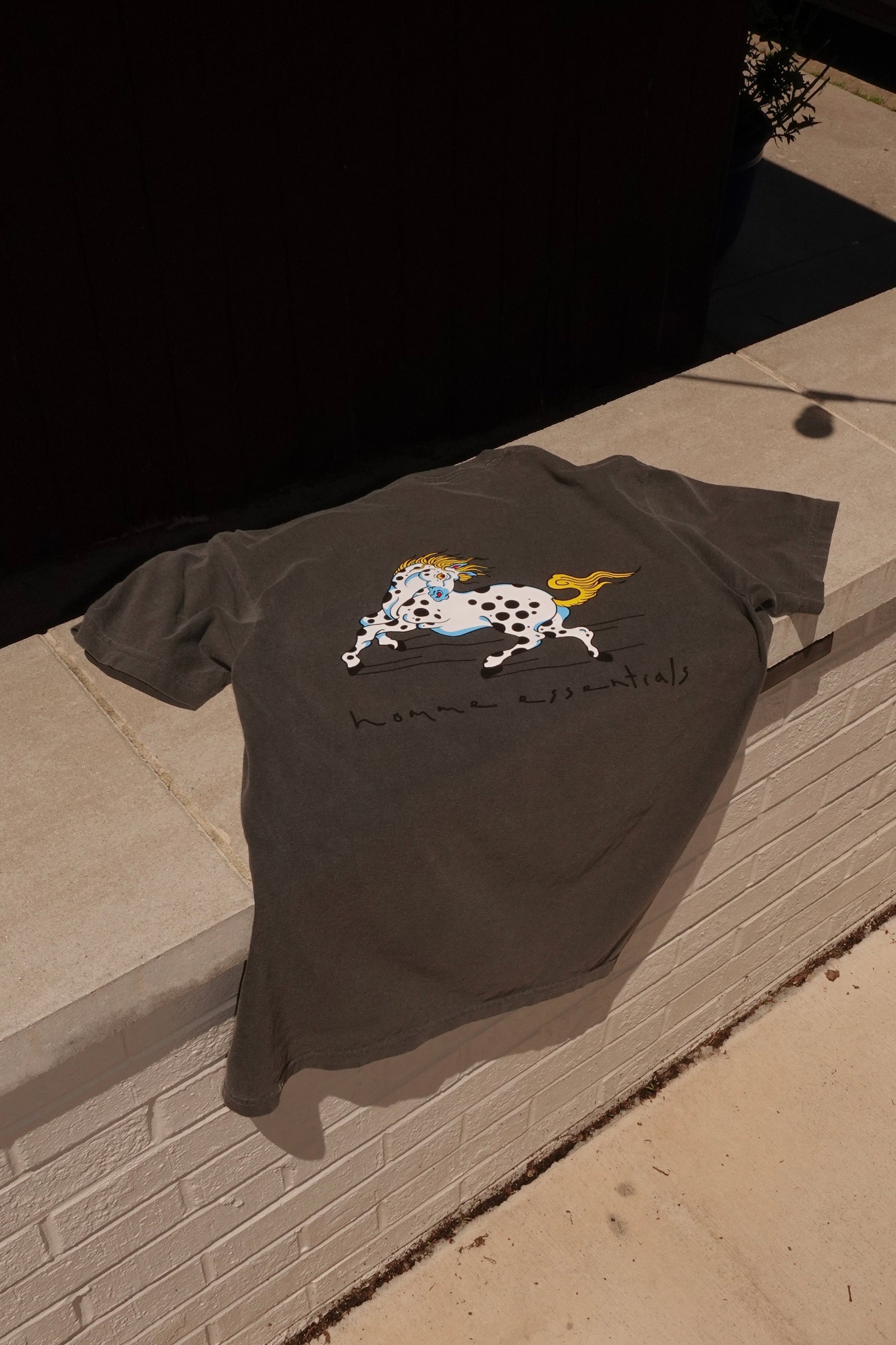 Momentum  Anniversary T-Shirt in Pepper