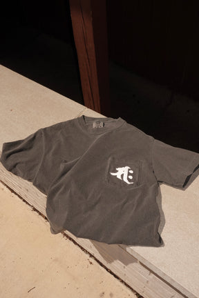 Momentum  Anniversary T-Shirt in Pepper