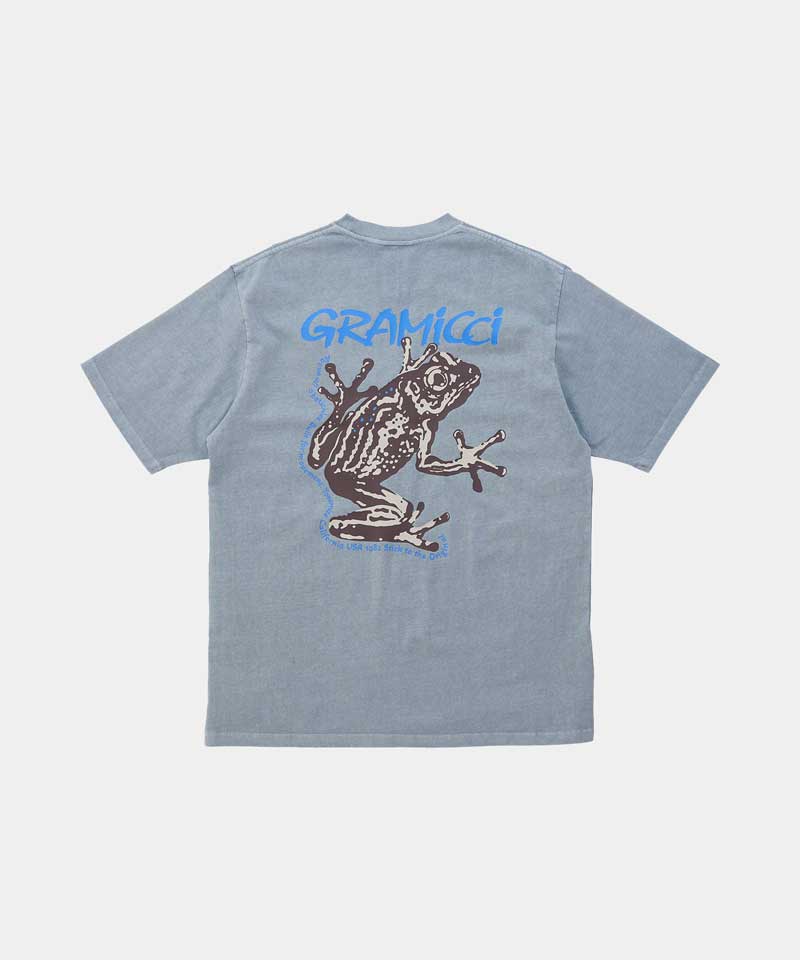 Sticky Frog Tee in Slate Pigment