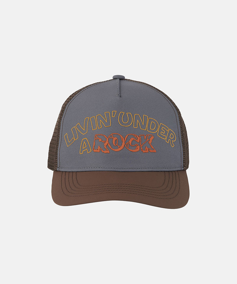 Trucker Cap in Grey
