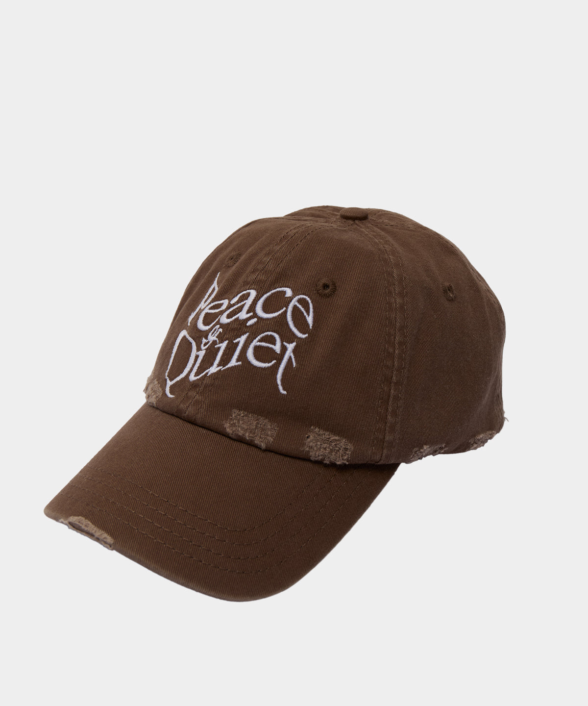 Wordmark Distressed Dad Hat in Coffee