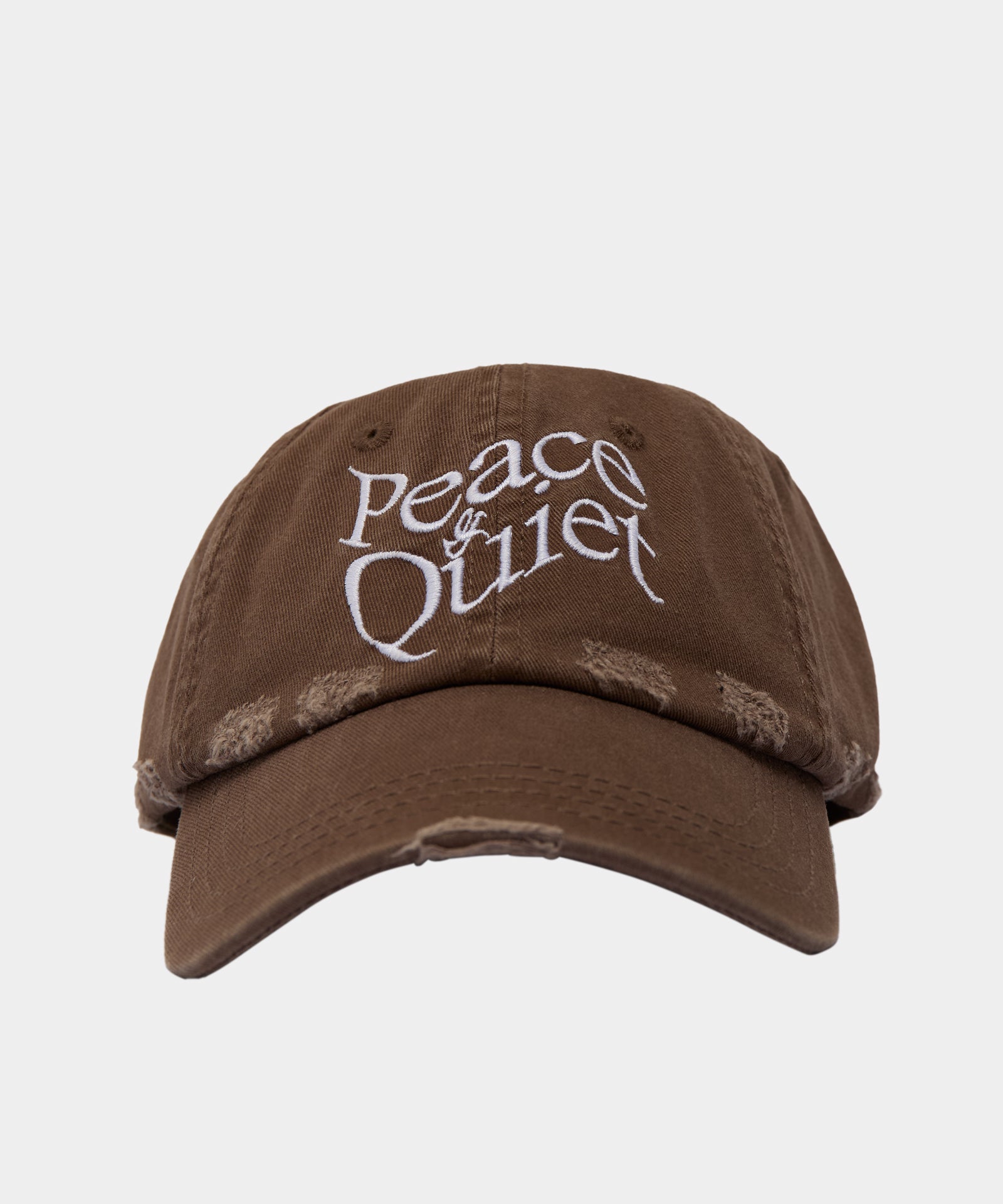 Wordmark Distressed Dad Hat in Coffee