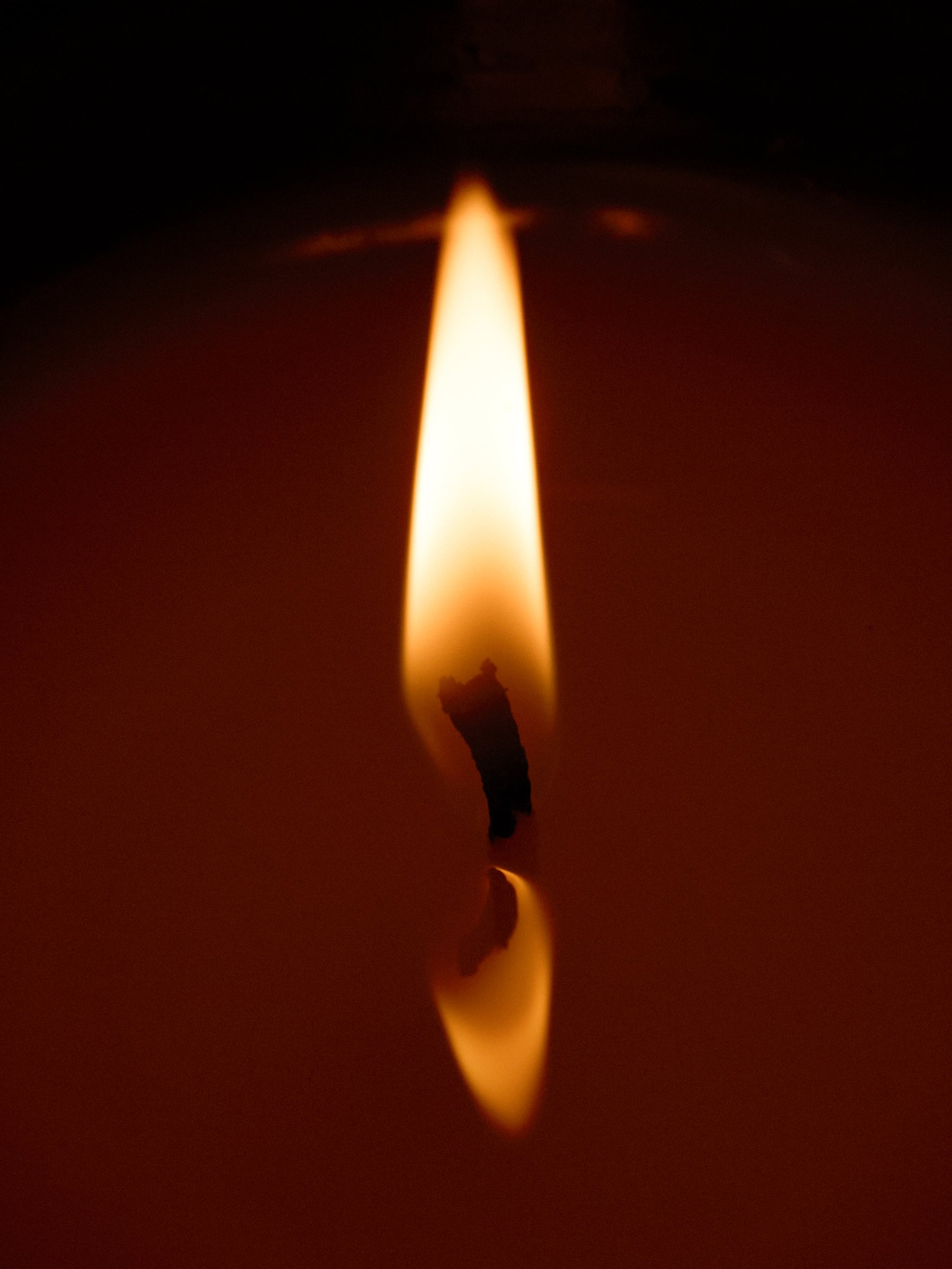 Campfire 8oz. Candle