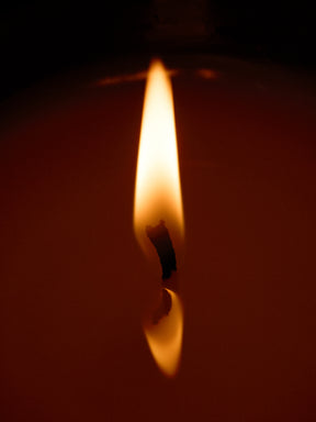 Campfire 8oz. Candle