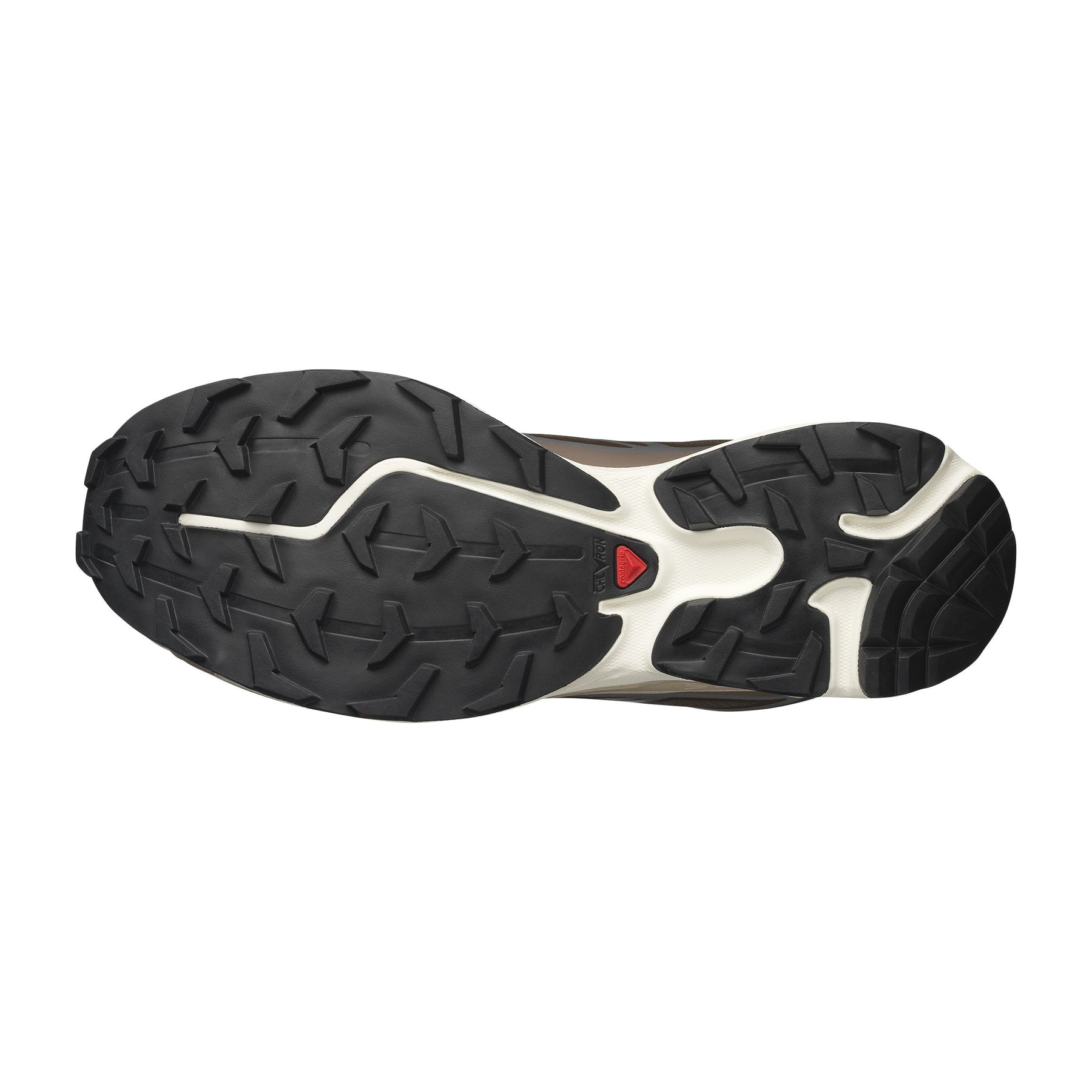 XT-6 in Earth Brown / Walnut