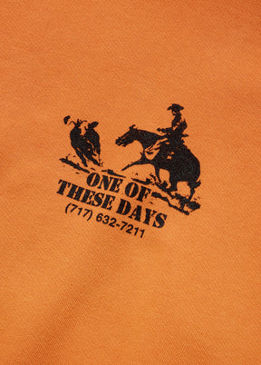 Round Up Hooded Sweatshirt in Orange