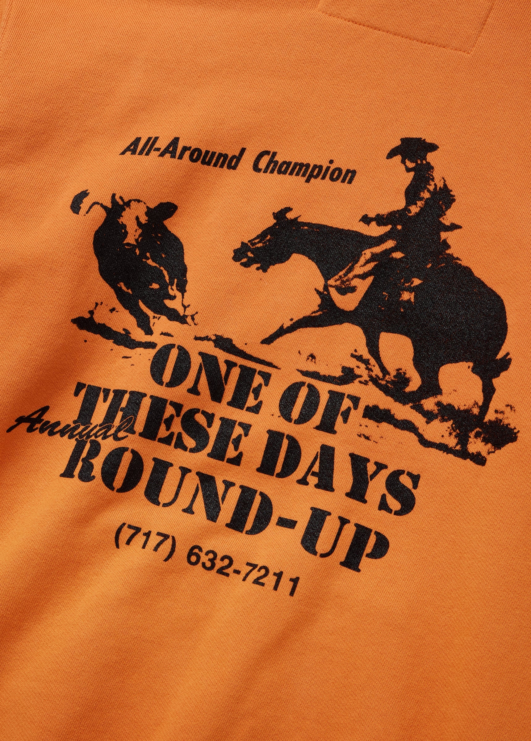 Round Up Hooded Sweatshirt in Orange
