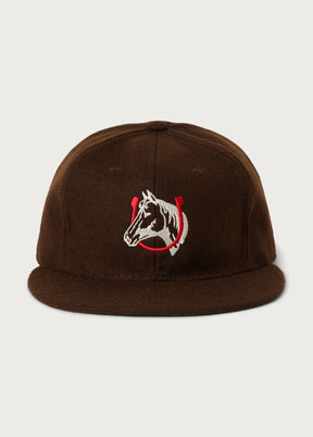Team Hat in Brown