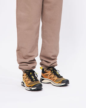 XT-6 Expanse in Cathay Spice/ Lizard/ Buttercup