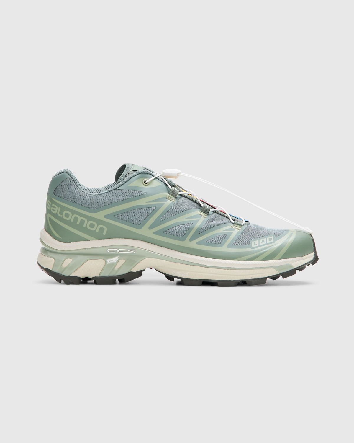 XT-6 in Laurel Wreath/ Lily Pad/ Desert Sage